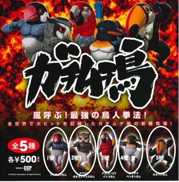 扭蛋 千錘百鍊 筋肉鳥P4 肌肉鳥 