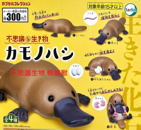 扭蛋 轉蛋 不思議生物 鴨嘴獸 
