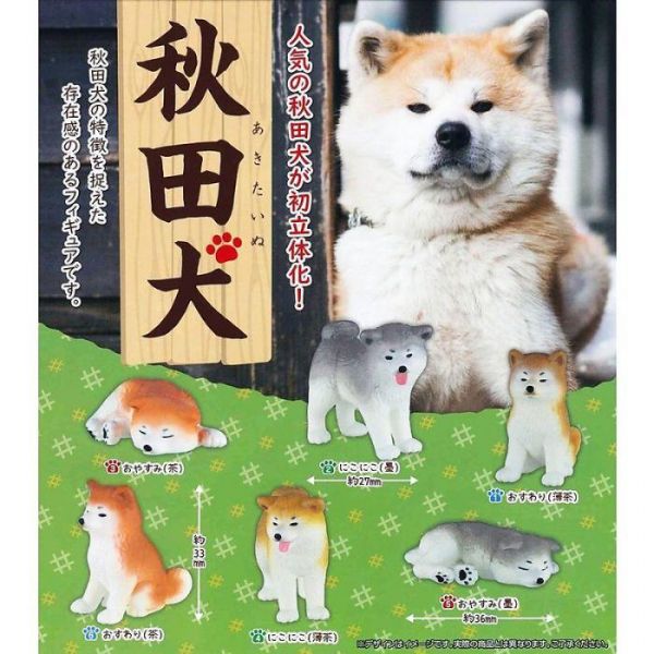 日版 扭蛋 轉蛋 秋田犬 