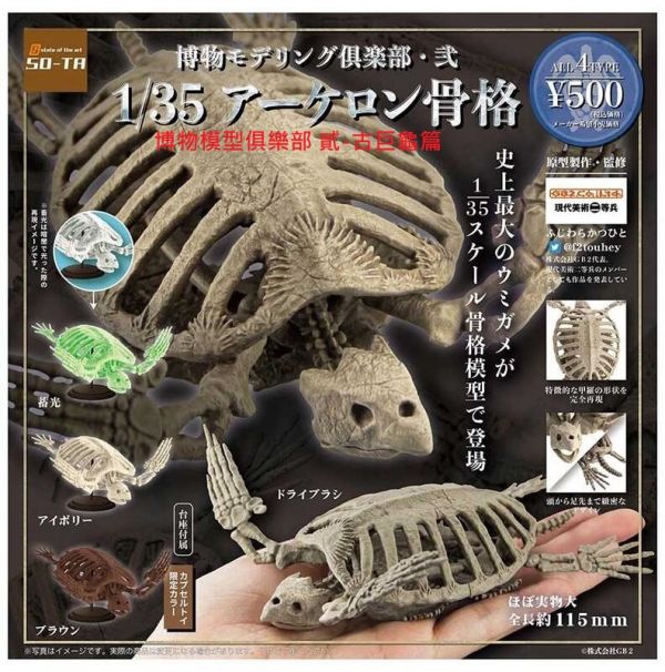 扭蛋 轉蛋 博物模型俱樂部 貳 古巨龜篇 