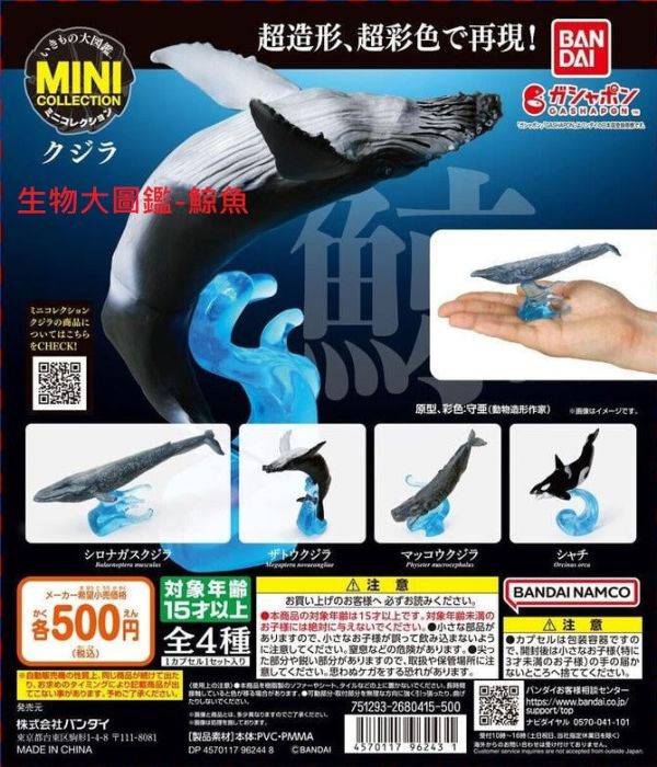 日版 轉蛋 扭蛋 生物大圖鑑-鯨魚 海豚 