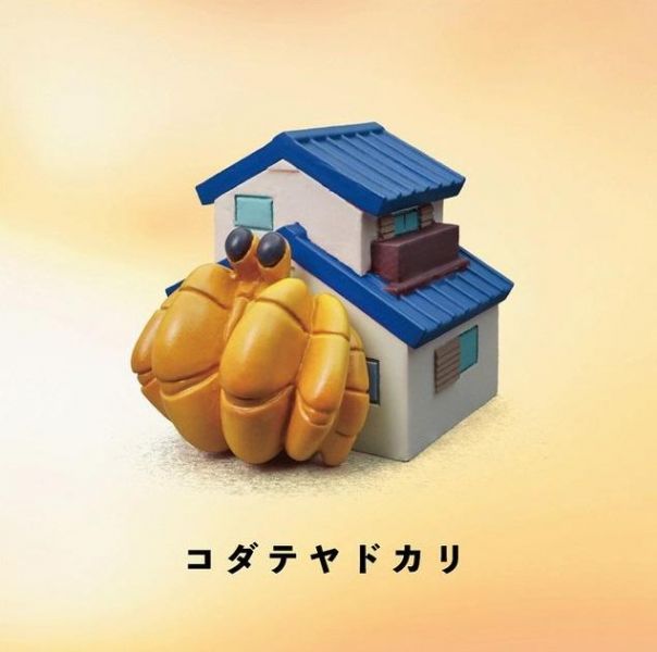 日版 扭蛋 轉蛋 隱居的寄居蟹 