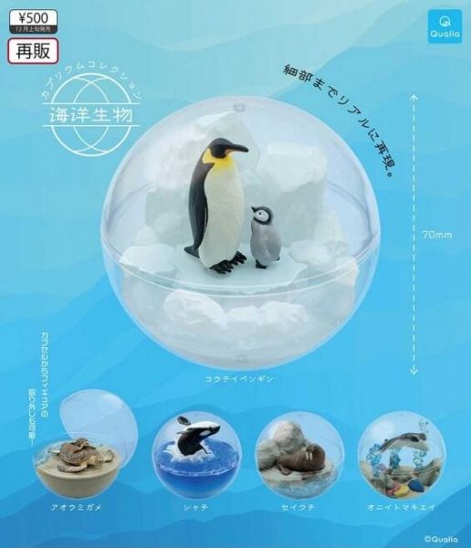 扭蛋 海洋生物盆景品 企鵝 海龜 海豹 