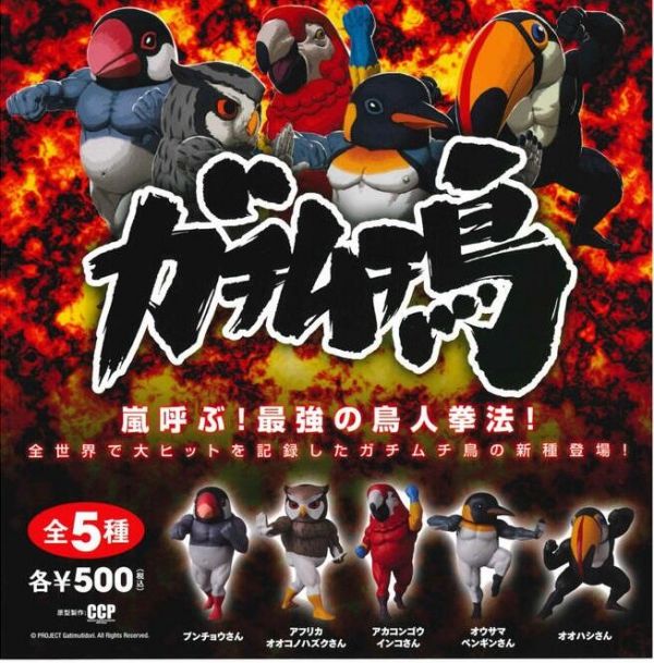 扭蛋 千錘百鍊 筋肉鳥P4 肌肉鳥 