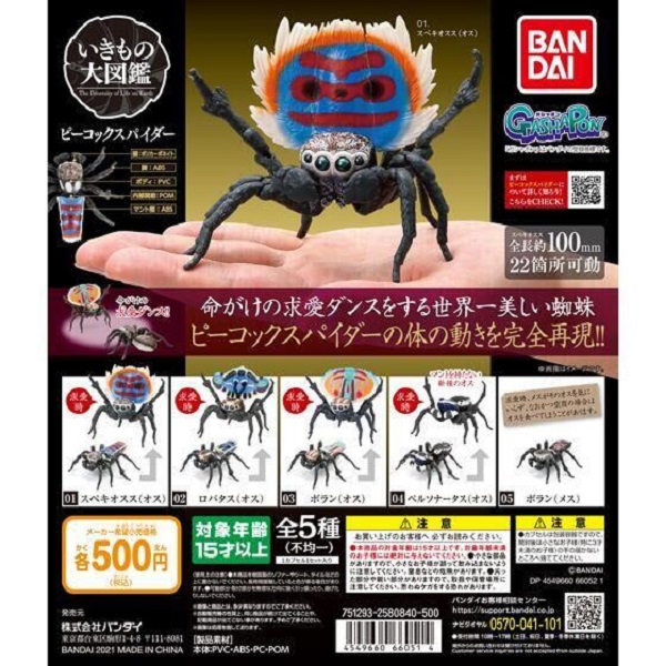 扭蛋 轉蛋 孔雀蜘蛛環保扭蛋 