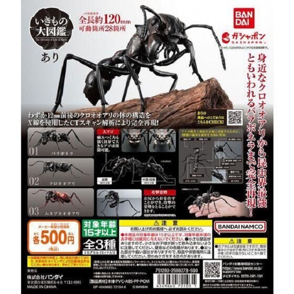 扭蛋 轉蛋 生物大圖鑑-螞蟻篇 
