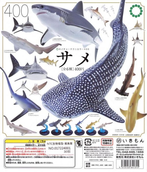 扭蛋 轉蛋 NTC生物模型 鯊魚篇 魚 