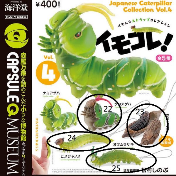扭蛋 轉蛋 扭蛋Q-毛毛蟲大集合P4 昆蟲 
