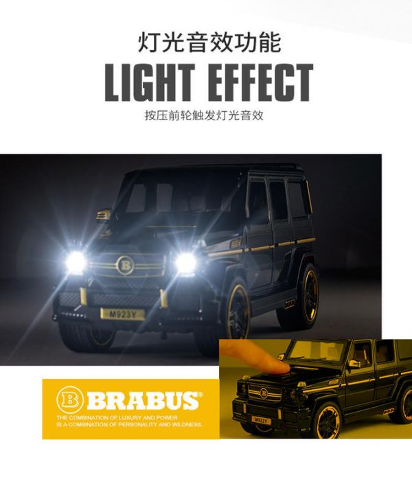 BENZ 賓士 RABUS G65  