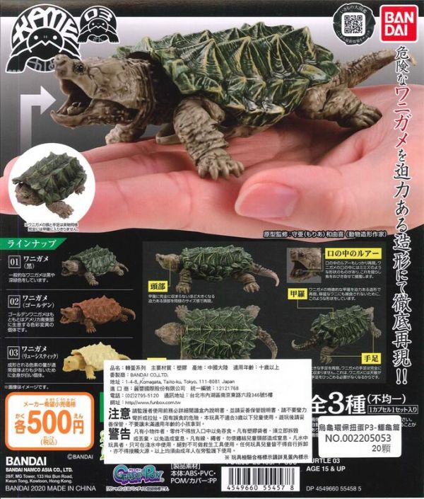 扭蛋 轉蛋 烏龜環保扭蛋P3  