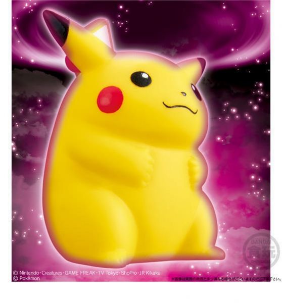 寶可夢 極巨化 pokemon kids 盒玩 