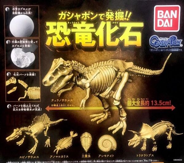 扭蛋 轉蛋 挖掘恐龍化石石膏球 恐龍 化石 