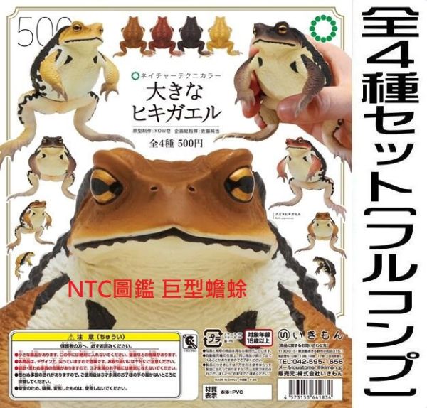 日版 轉蛋 扭蛋 NTC圖鑑 巨型蟾蜍 青蛙 