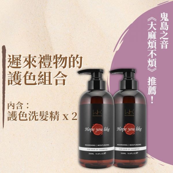 【遲來禮物】洗+洗 套組【大麻煩不煩推薦！】 洗髮精,護髮,洗護組,時尚,質感,女性,禮物,藝人,網紅,醫美,全方位