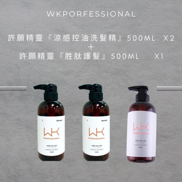 洗(涼感)+洗(涼感)+護 許願精靈(控油) 套組 洗髮精,護髮,洗護組,時尚,質感,女性,禮物,藝人,網紅,醫美,全方位