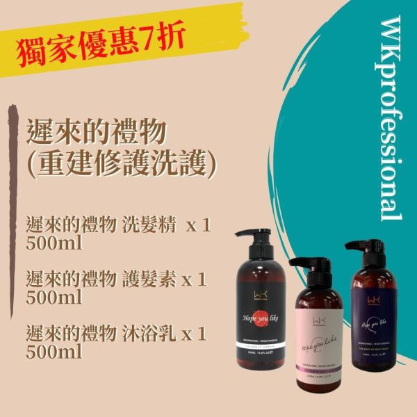 (染燙受損)遲來的禮物 洗髮+護髮+沐浴乳 重建髮質組合 髮膜,護髮,蒸氣護髮,時尚,質感,女性,禮物,藝人,網紅,醫美,全方位