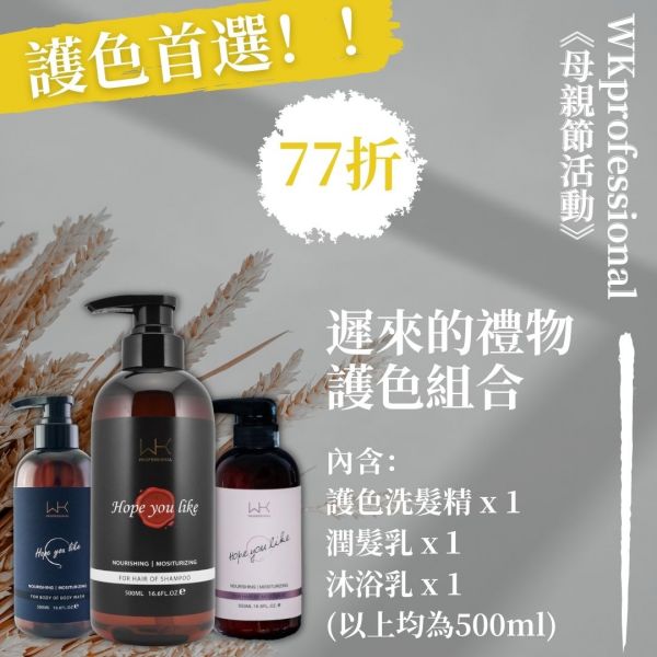 (母親節優惠)遲來的禮物 洗+護+沐浴 重建髮質組合 髮膜,護髮,蒸氣護髮,時尚,質感,女性,禮物,藝人,網紅,醫美,全方位