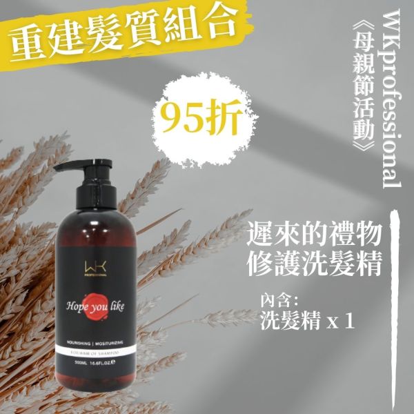 (母親節活動)遲來的禮物 洗髮精 500ml 洗髮精,控油,減緩掉髮,洗護組,時尚,質感,女性,禮物,藝人,網紅,醫美,全方位