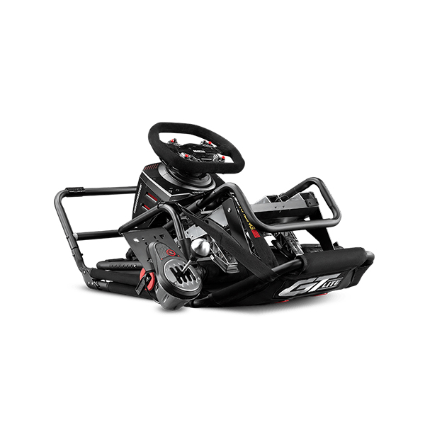 TX RW F458+ NLR GT LITE + 宙斯機-10-6U TX RW F458,NLR GT LITE,XGPU 3個月,RTX 3070,資訊展,世貿,微軟,台灣公司貨,NLR,方向盤