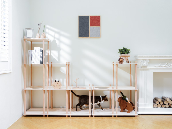 Modular jumping platform shelf 