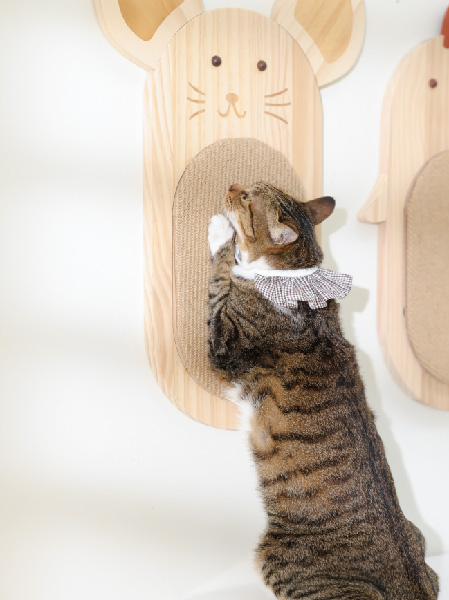 Meow Meow family Cat scratch board/Half-body mirror   Goo Goo Chicken . Eon Eon Donkey 