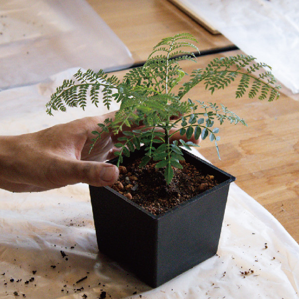 團體行程 |【 植感體驗日 | 創意DIY × 永續環保 × 園區探索體驗 】| 暑期安親、社團活動、企業團建共創永續新體驗！ 木匠,木匠兄妹,班親會,同學會,DIY,木工,戶外活動,室內場地,遊戲區,餐飲,沙坑,打卡,無障礙設施,哺乳室,尿布間,停車場,后里,台中