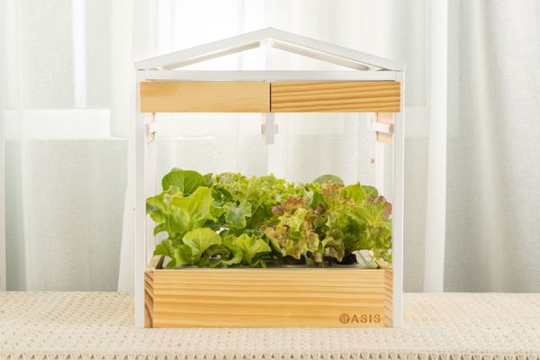 綠洲 OASIS訂購種菜方案【田園套餐】 蔬菜機,室內蔬菜,永續,esg,素食,小資族,
