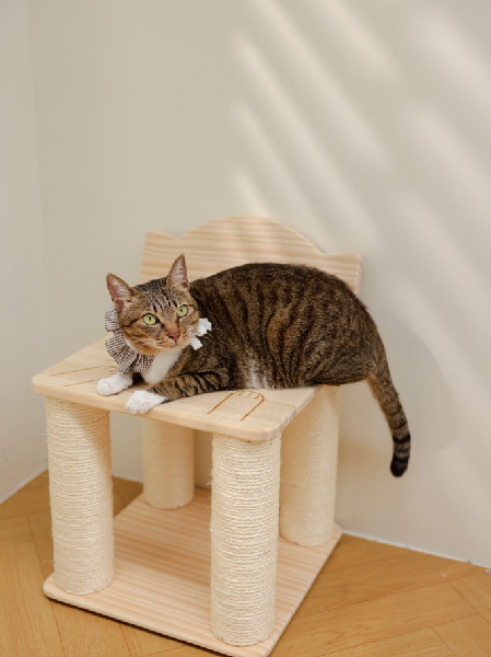 Cat scratch stick stool Cat paw 