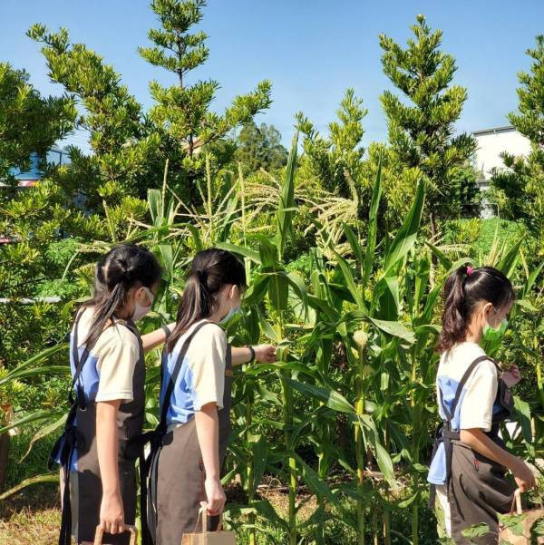 團體行程 | 校外／戶外教學行程（森林教育｜手作｜導覽｜農遊） 森林環境教育,自然生態導覽,環境學習場域,食農教育,永續校外教學,低碳交通,地方創生,校外教學,暑期安親,夏令營,親子座談,戶外教學,社團活動