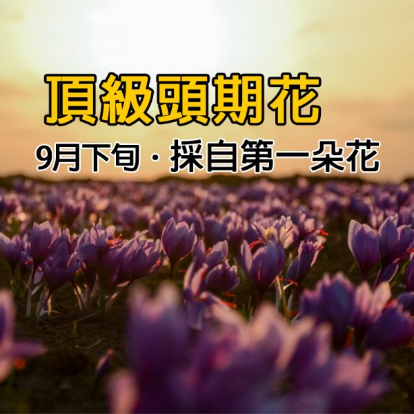 2023年頭期花 伊朗特級藏紅花1克2克 頂級超長花絲 PREMIUM NEGIN #藏紅花 #番紅花 #伊朗 #頂級藏紅花 #頂及番紅花