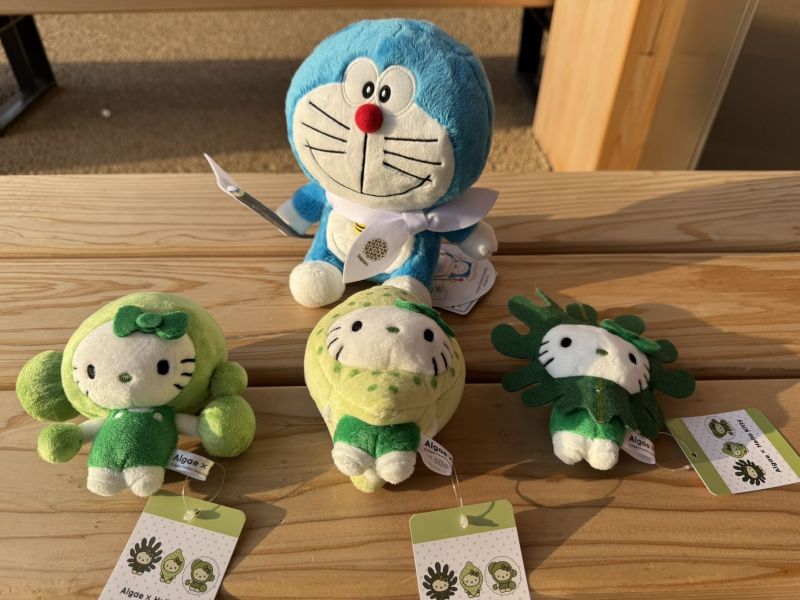 Algae × Hello Kitty 萬博限定綠藻系列 