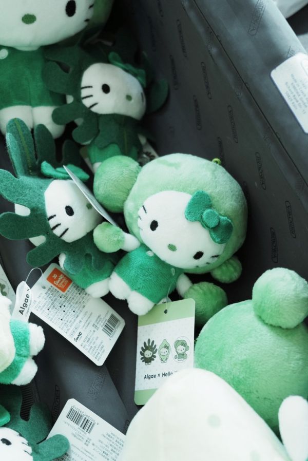 Algae × Hello Kitty 萬博限定綠藻系列 