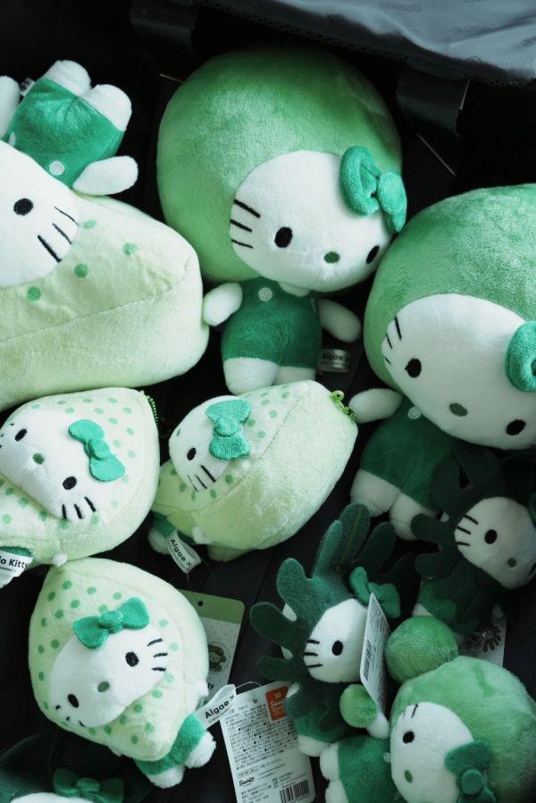 Algae × Hello Kitty 萬博限定綠藻系列 