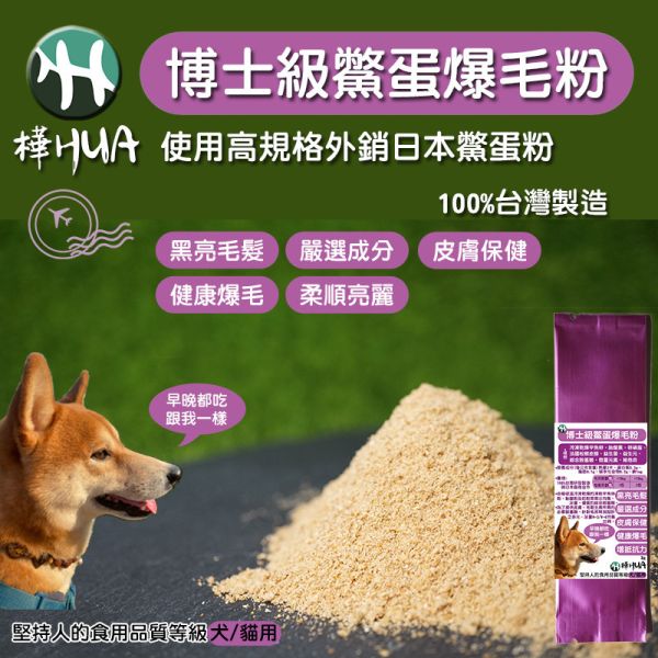 【博士級鱉蛋爆毛粉】犬貓適用 博士級鱉蛋暴毛粉 毛攻頂 寵物暴毛粉 寵物保健食品 寵物,犬貓適用,寵物保健食品,益生菌,暴毛粉,鱉蛋粉,元氣,維他命,防疫,防疫大作戰,狗,貓,狗狗,貓咪,寵物暴毛,改善軟便,軟便,拉肚子,爆毛粉