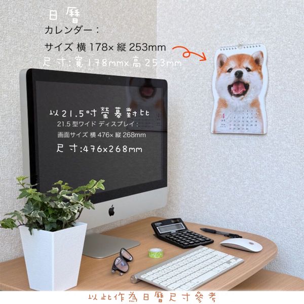 【日本現貨】日本製超萌小柴犬日曆 月曆 柴犬日曆 柴犬畫 柴犬日曆
