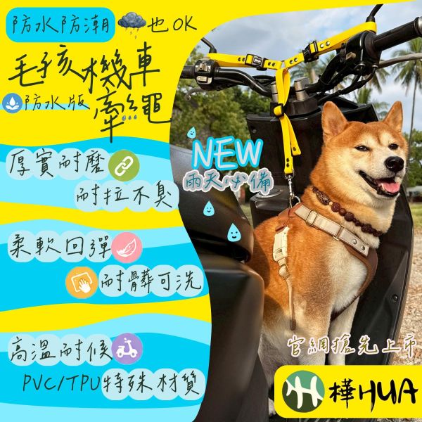 雨天必備【遛狗神器-防水版】毛孩機車牽繩 全犬種適用 機車牽繩,Y字繩,機車載狗,摩托車牽繩,摩托車載狗,機車族,散步,柴犬,毛孩牽繩,牽繩