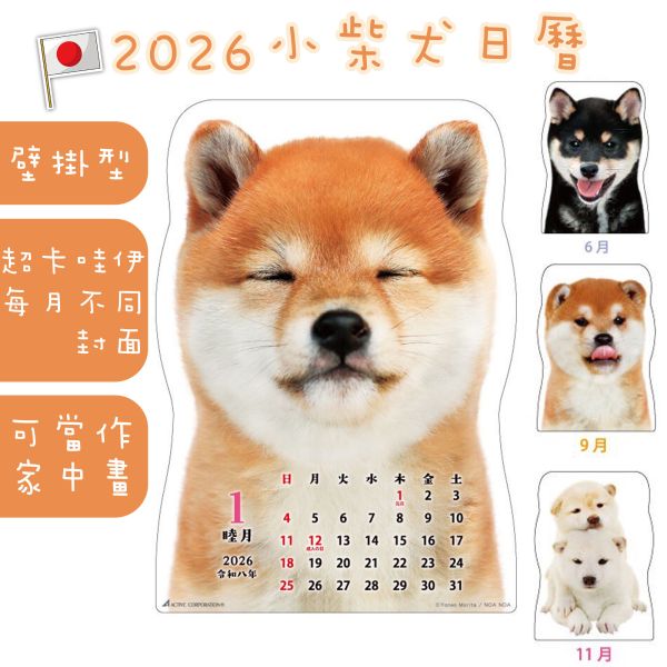 【日本現貨】日本製超萌小柴犬日曆 月曆 柴犬日曆 柴犬畫 柴犬日曆