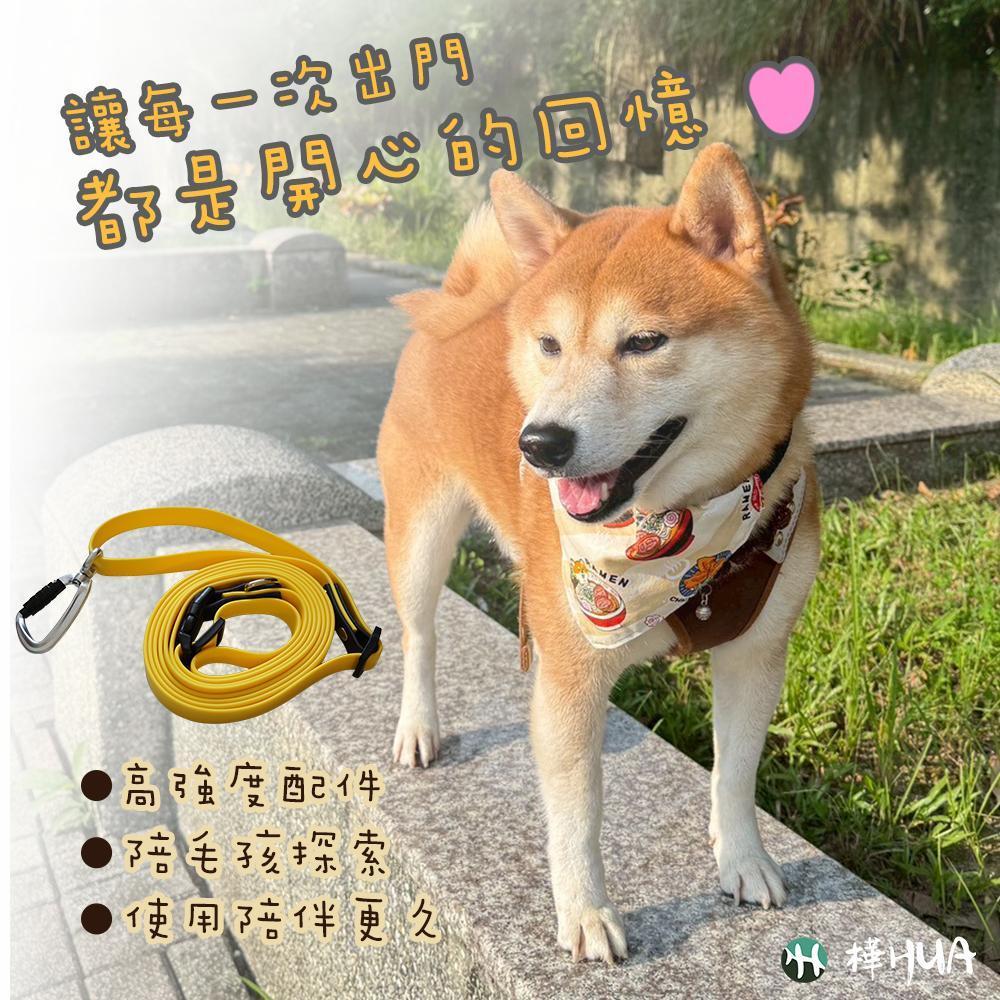 讓毛孩每一次出門 都是開心的回憶