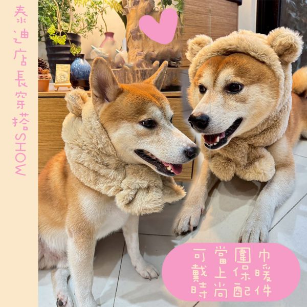 【寵物小熊絨毛帽圍巾】寵物小熊絨毛圍巾 好摸手感 小熊寵物圍巾 冬季款 寵物小熊絨毛帽圍巾
寵物小熊帽
寵物絨毛圍巾
狗狗小熊帽
貓咪小熊帽
寵物保暖帽
寵物冬季帽子
寵物禦寒配件