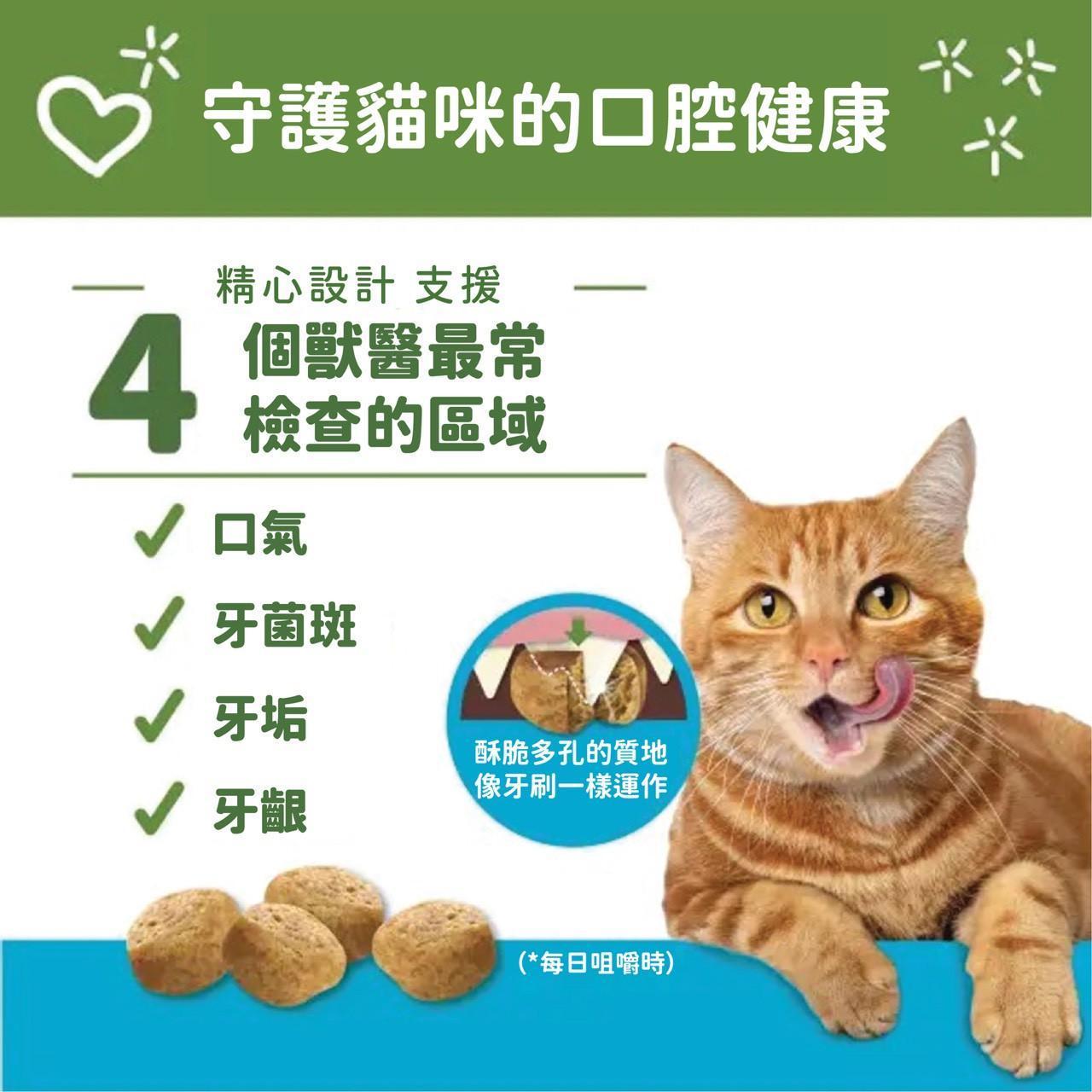 貓咪潔牙零食 幫助減少牙菌斑