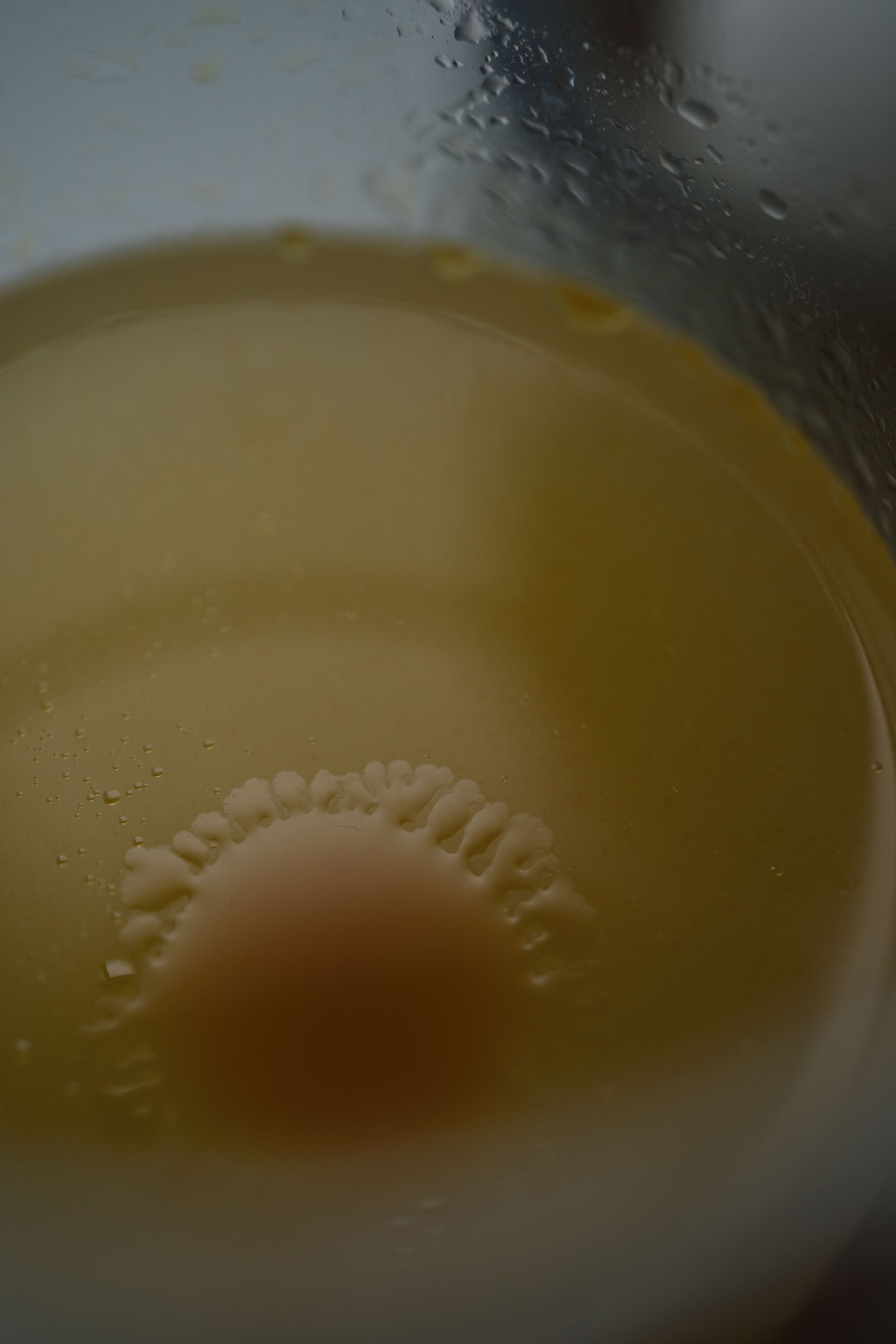 Mā - 地衣荒物 Earthing Way