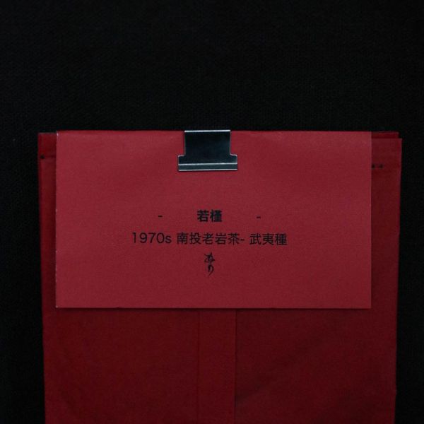 鳳凰 | 若槿 | 1970s 南投老岩茶 - 武夷種 