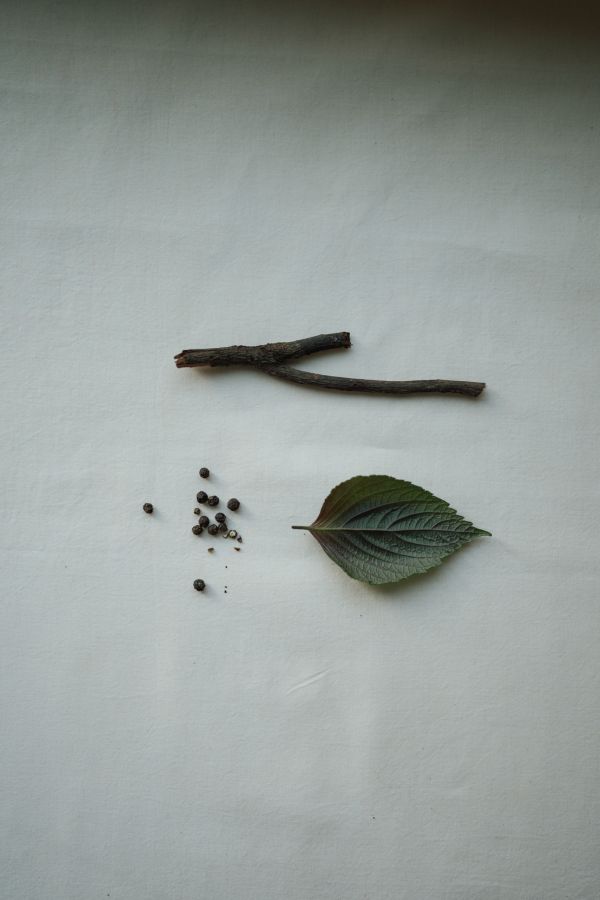 息器｜氣息之間・自製天然按摩油工作坊 