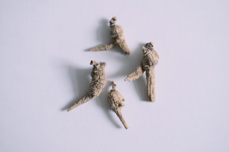 MUCAO｜野生西洋蔘項鍊 絨繩款  (純銀) 