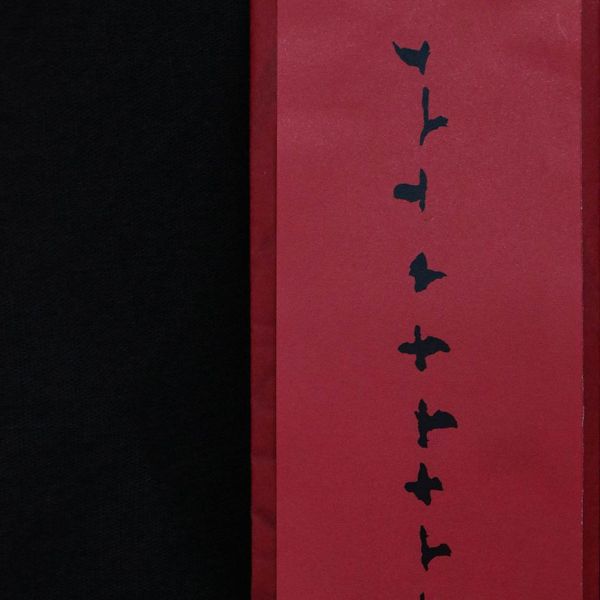 鳳凰 | 若槿 | 1970s 南投老岩茶 - 武夷種 