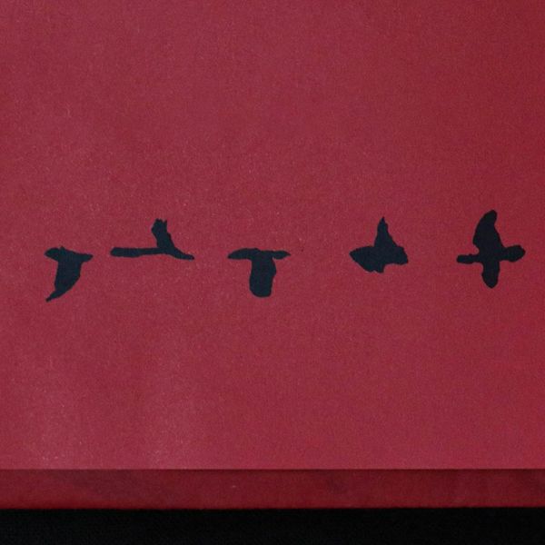 鳳凰 | 若槿 | 1970s 南投老岩茶 - 武夷種 