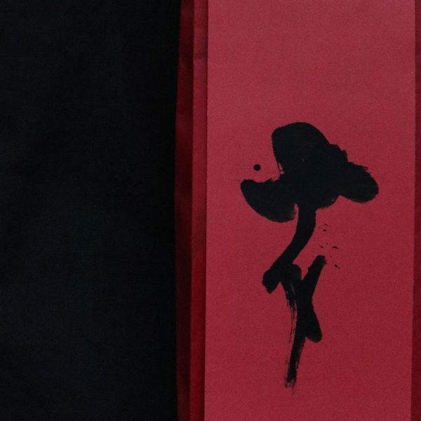 鳳凰 | 芷蘅 | 2025年 東方美人茶 - 龍潭 