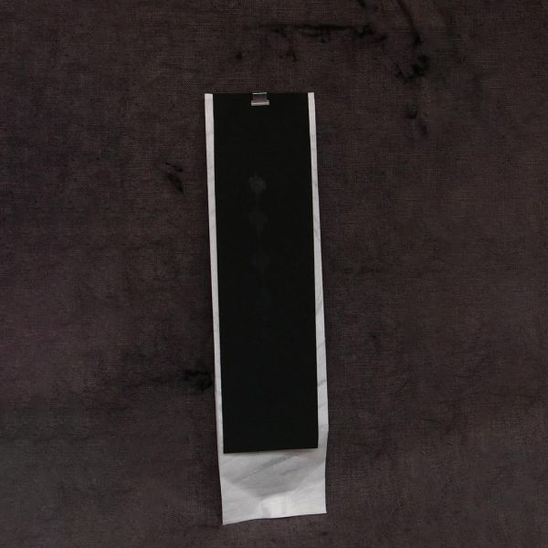 鳳凰 | 興荼蘼 | 1980s 普洱老散茶 - 同興號茶莊 