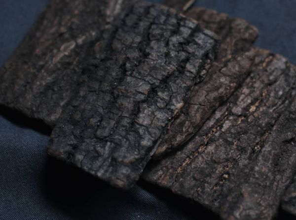 MUCAO | 殘存_ Remnant 杜仲戒指(純銀) 