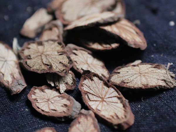 MUCAO | 殘存_ Remnant武靴藤短鍊 (純銀) 